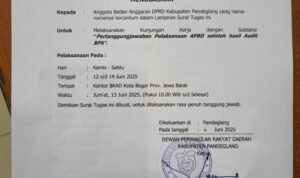 Ketua Gerak 08 Banten Kritik Kunjungan Kerja DPRD Pandeglang ke Bogor di Tengah Krisis Anggaran