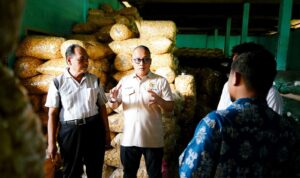 Arif Rahman,DPR RI Fraksi NasDem,Komisi IV,Emping Melinjo,Pandeglang.