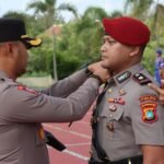 c0c2cdff-1166-4792-a4cb-e4380b090087