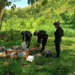 3dc361dc-54ce-4efc-9867-adade4fce5f6