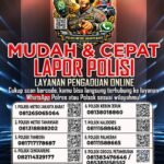 b7d87ad0-4479-44ad-90e9-dacbffa6f68d