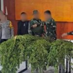 0f778db1-4a72-4807-a24d-6e2920ac3ef1