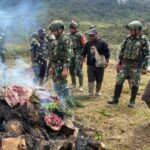 8d32f257-eb30-440d-bebf-cf0fd90fbbcc