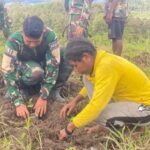 f8466c98-e9da-4199-ab8e-e0471dae4373